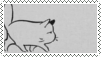cat falls asleep