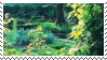 Nature aesthetic